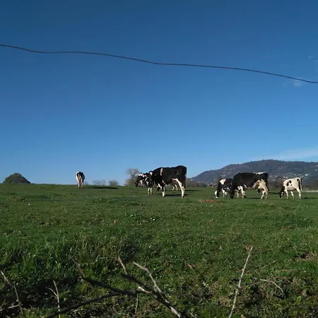 Casa Pepin - Sagasta Rural Oviédo
