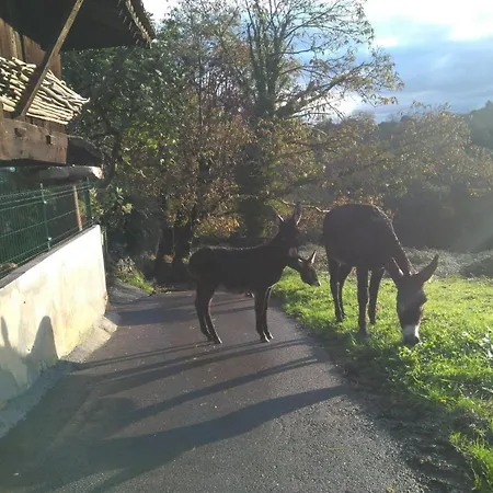Séjour à la campagne Casa Pepin - Sagasta Rural *