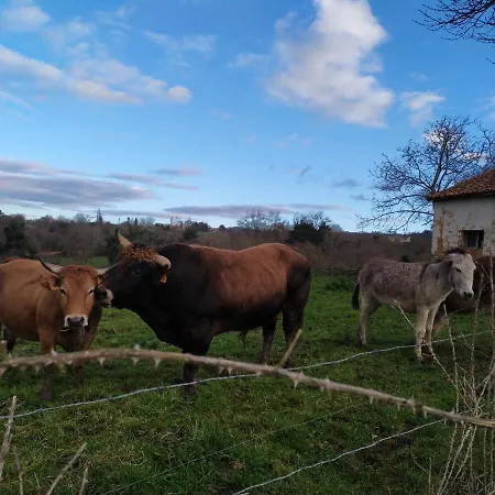 Séjour à la campagne Casa Pepin - Sagasta Rural