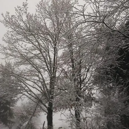 Casa Pepin - Sagasta Rural Landhaus