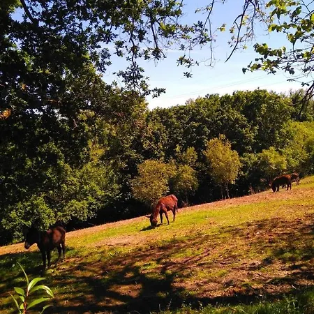 Casa Pepin - Sagasta Rural